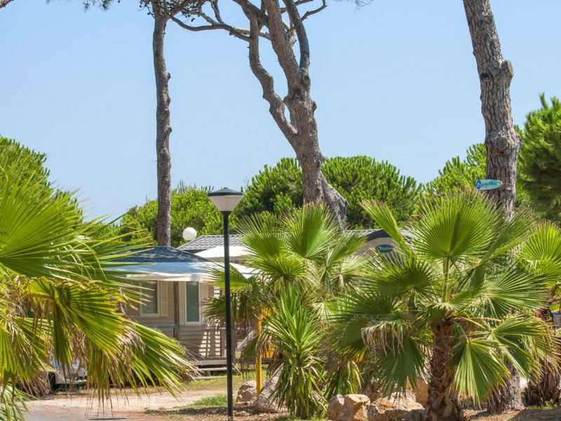 Camping Eurosurf accommodatie