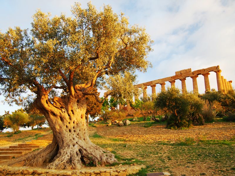 Agrigento Vallei der Tempels