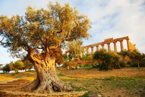 Agrigento Vallei der Tempels