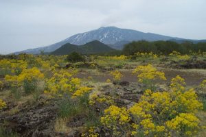 640px-etna_sicilie